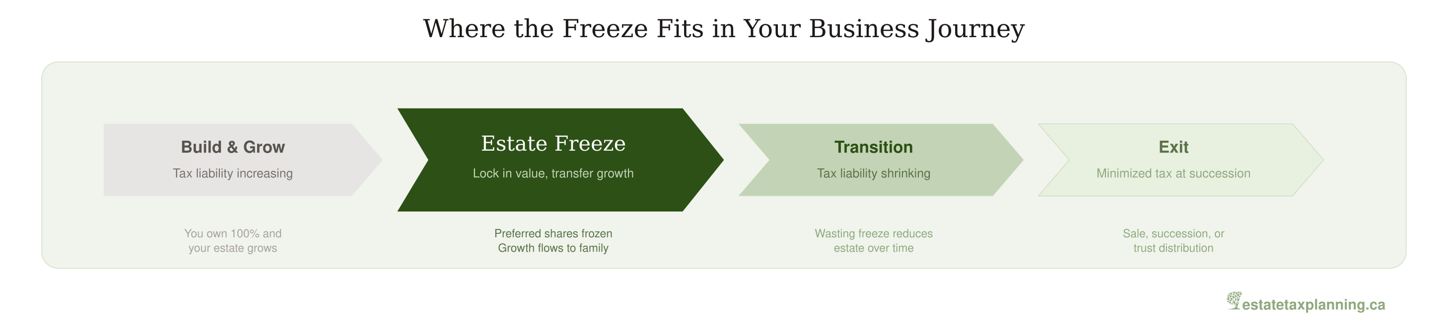 Estate Freeze Business Journey