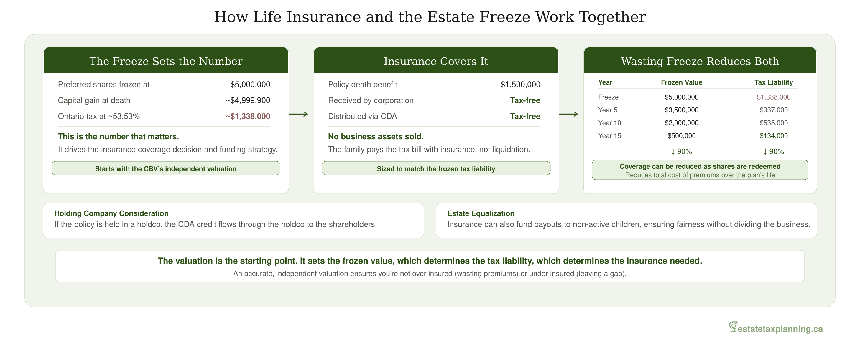 Insurance and Freeze Interaction